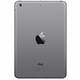 iPad mini retina Wi-Fi 16Gb