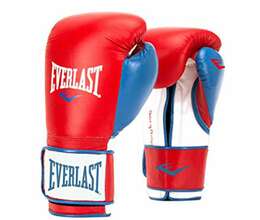 Everlast Powerlock training gloves