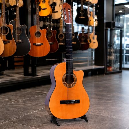 Klassik Gitara Vega MC 100C EQ – Gitara və digər simlilər – ucuztap.az