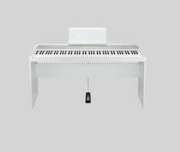 Elektron pianino – Pianino və digər klavişnilər – ucuztap.az
