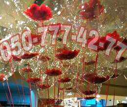 Helium şar sifarişləri