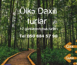 Ölkədaxili turlar