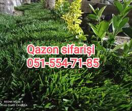 Qazon 