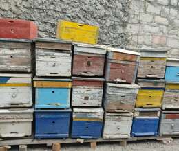 Arı yeşikləri satılır 