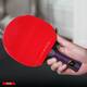 Stiga 5 Ulduzlu Premium Ping Pong Raketi