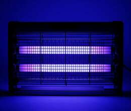 Ağcaqanad öldürən 