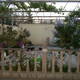 Satış Həyət evi, 110m²