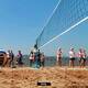 Lionhead Volleyball Net (Voleybol Toru)