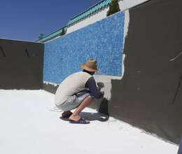 Hovuz tikintisi və təmiri