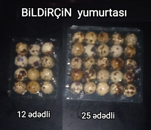 Bildirçin Yumurtası