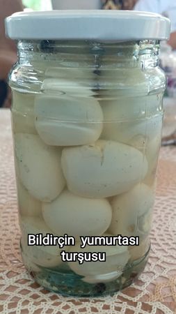 Bildirçin Yumurtası