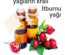 İtburnu yağı