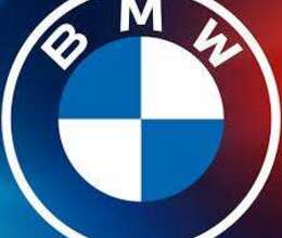 Vlinker MC bmv proqram cihazı