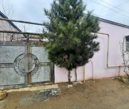 Satış Həyət evi, 60m²