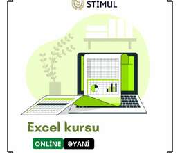 Excel kursu (standart və professional)