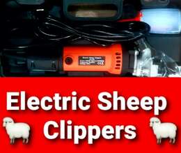 Electric Sheep Clippers-Qoyun qırxan