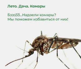 Sanitariya Epidemioloji Xidmətlər MMC – Digər – ucuztap.az
