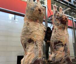 Ət və Ət Məhsulları