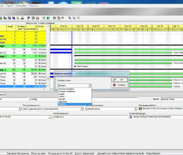 "Primavera P6 Professional V6.0" Proqramı