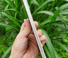 Apple iPhone 11 White 4GB/128GB