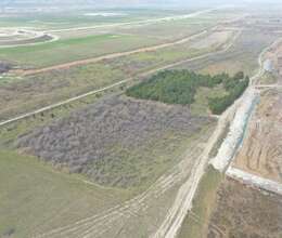 35 hektar ərazi satílír Gilezi Deniz kenari 