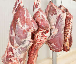 Mal Əti (bütöv Heyvan)