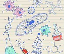 Biologiya hazırlığı kursu – Hazırlıq kursları – ucuztap.az