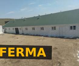 Ferma – Bağ evi – ucuztap.az