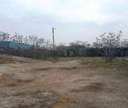 Razin, Fidan yolu 3 Sot torpaq 300.000 Azn satılır – Torpaq – ucuztap.az