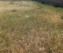 Təcili kupçalı 3sot torpag satılır.