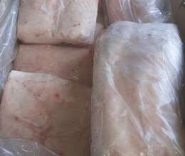 Quzu quyruğu dondurulmuş