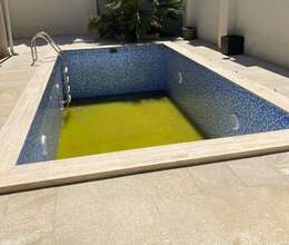 hovuzların təmizlənməsi