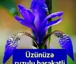 Tibb bacısı xidməti – Tibb və əczaçılıq – ucuztap.az