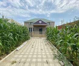Satış Həyət evi – Həyət evi – ucuztap.az
