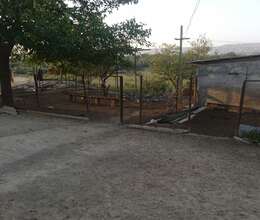 Ferma – Satılır – ucuztap.az