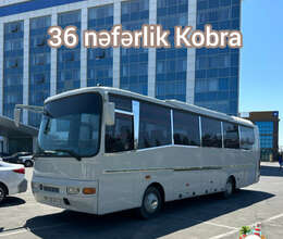 36 Nəfərlik avtobus Kobra – Nəqliyyat və loqistika – ucuztap.az