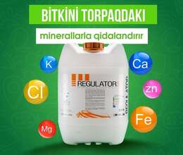 Regulator – Bağ və bostan – ucuztap.az