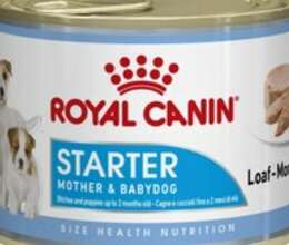 Royal Canin Starter paşteti – Heyvanlar üçün məhsul – ucuztap.az