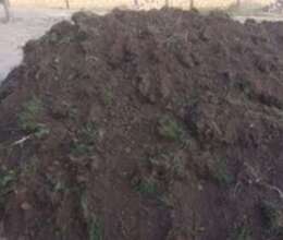 Qara torpaq, peyin,gübrə – Bağ və bostan – ucuztap.az