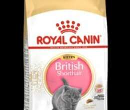 Qida Royal canin british – Heyvanlar üçün məhsul – ucuztap.az