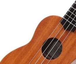 Ukulele Elvis – Musiqi alətləri – ucuztap.az
