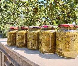 Bakı Üzüm yarpağı