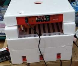 Inkubator – Digər – ucuztap.az