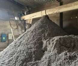 Çiyid – Bağ və bostan – ucuztap.az