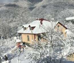 Həyət evi kirayə verilir, Qəbələ ş. – Villalar, bağ evləri – ucuztap.az