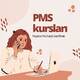 Peşəkar mühasib sertifikati PMS kursu