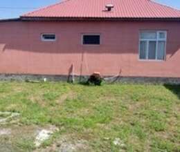 Həyət evi, Zaqatala r. – Villalar, bağ evləri – ucuztap.az