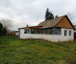 19 Sot torpaq sahəsi, Cəlilabad r. – Satılır – ucuztap.az