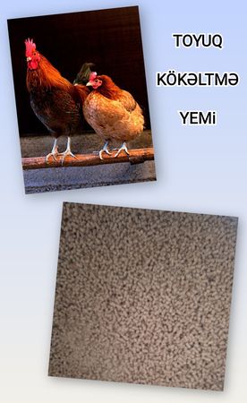 Cücə Yemi – Heyvanlar üçün məhsul – ucuztap.az