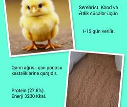 Cücə yemi